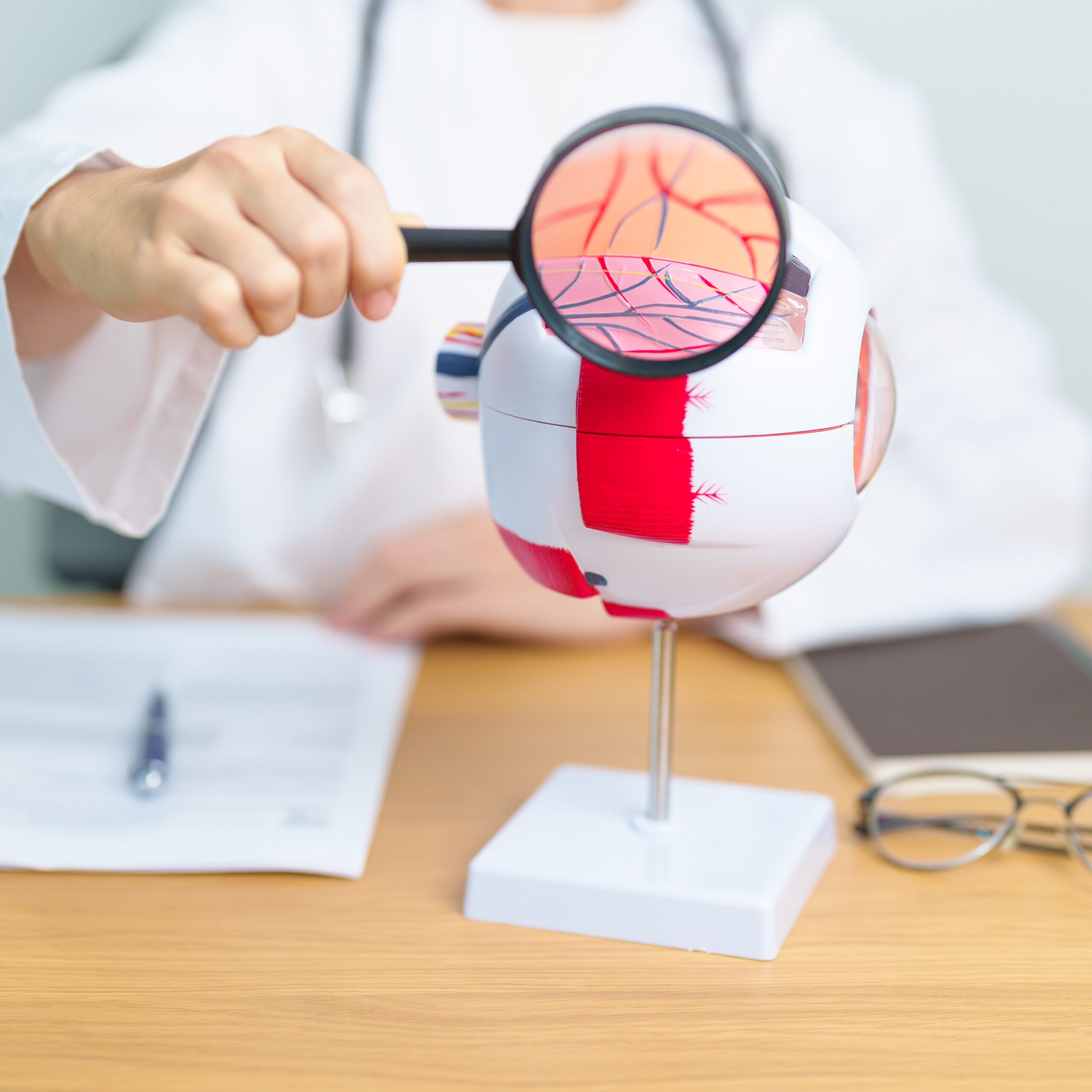 Doctor with human Eye anatomy model with magnifying glass. Eye disease, Refractive Errors, Age Related Macular Degeneration, Cataract, Diabetic Retinopathy, Glaucoma, Amblyopia, Strabismus and Health